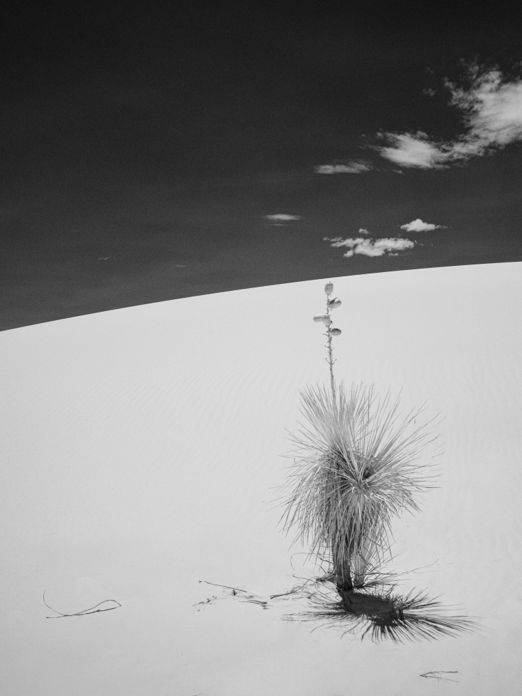 959 white sands 2 sm