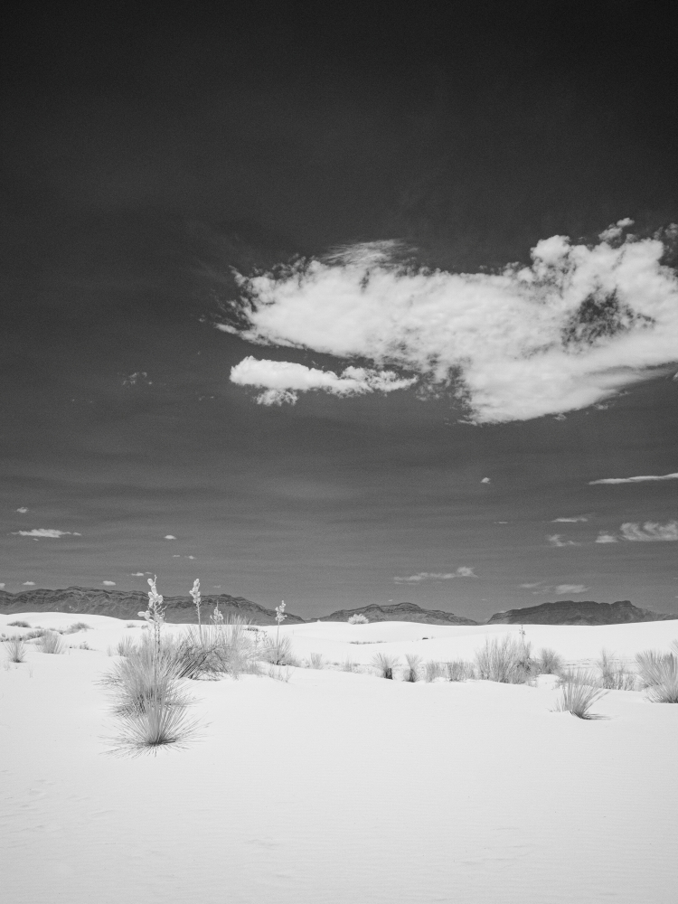971 white sands 4 sm