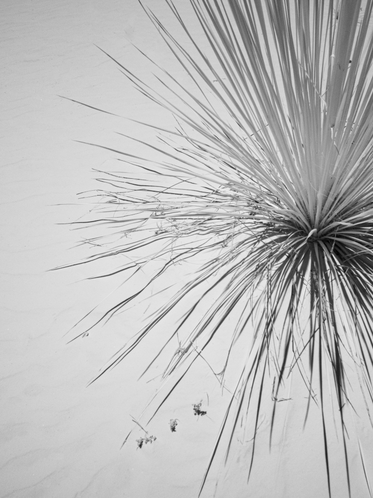 986 white sands 6 sm