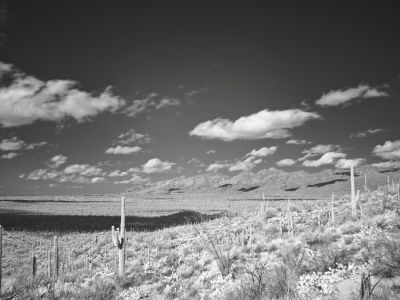 old spanish trail