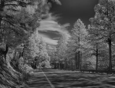 e ski run drive